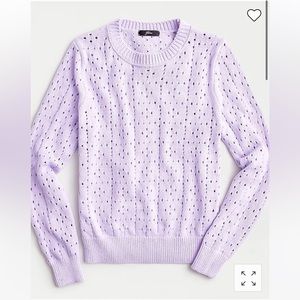 LIKE NEW J. Crew Point Sur allover pointelle crewneck sweater